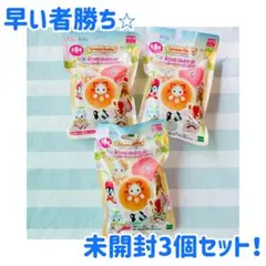 シルバニアファミリー キラキラくじ 未開封G賞セット