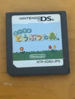 DS おいでよどうぶつの森