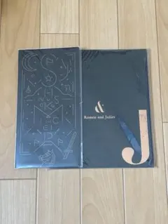 道枝駿佑　パンフレット