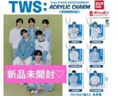 《新品未使用未開封》TWS アクリルチャーム 2個セット