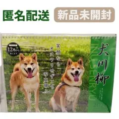 Item thumbnail for item 33e213a3-028e-4b05-9196-d128a57a4ad8