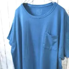 フルーツオブザルーム 胸ポケット ビッグサイズ Tシャツ ブルー系 2XL 古着のサムネイル