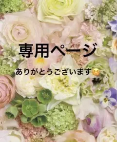 ＊あすゆか様専用＊5/1までのお取置き＊