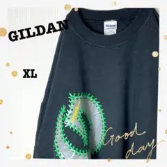 GILDANギルダンNFLテネシータイタンズ2012スウェットビッグシルエット