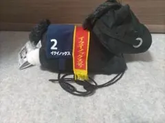 Item thumbnail for item 687c76af-628f-427e-bb54-81362a22b734