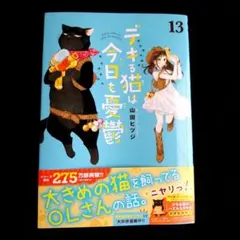 デキる猫は今日も憂鬱(13)のサムネイル