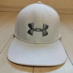 Item thumbnail for item 16c4e0e5-b084-42c6-a64f-9f0c1ec24b05