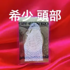 ちくわ様 リクエスト 2点 まとめ商品