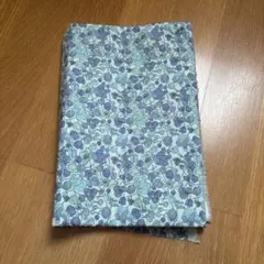 LIBERTY タナローン　2m