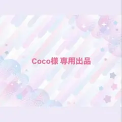 【専用出品】 内容をご確認ください♡