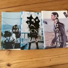 岩井俊二作品　セット　スワロウテイル　ピクニック　アンドゥ