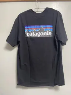 もち様 patagonia パタゴニア Tシャツ XXL 黒 バックプリント