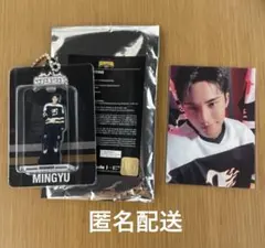 SEVENTEEN HOME ミンギュ　アクキー　トレカ