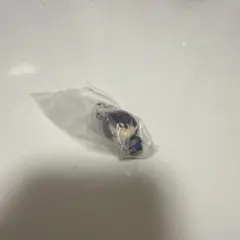 めじるしアクセサリー　銀魂　新八