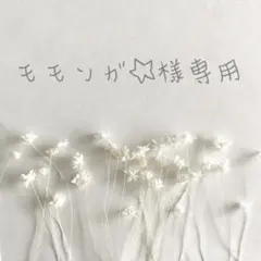❁﻿モモンガ☆様専用ページ❁﻿
