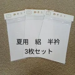 夏　絽　半衿　３枚セット　はんえり　半襟　白　ポリエステルのサムネイル