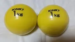 IGNIO 1kg エクササイズボール 2個セット