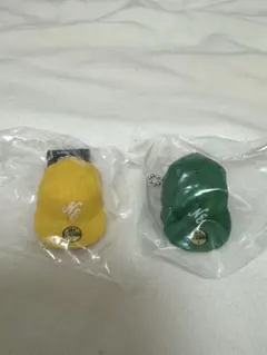 Item thumbnail for item 5daf2244-8bad-468c-bb6f-308b55de282a