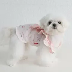 ワンピース　ピンク　Mサイズ