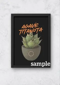 Agave Titanota イラスト ポスター