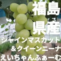 ㊷【訳あり予約】長野県産クイーンセブン1kg【メルカリ便】シャイン
