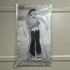 ☆超希少☆　岡崎武士の世界展Ⅱ　チケット　非売品　エヴァンゲリオン　綾波レイ 2026年最新】岡崎武士 綾波レイの人気アイテム - メルカリ