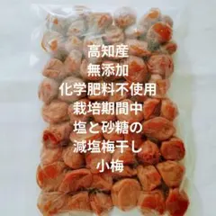 小梅干し 訳あり 昔ながらの梅干し 2kg 塩分約20% 無添加 紀州小梅