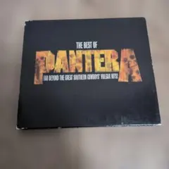 Pantera ベスト盤 パンテラ