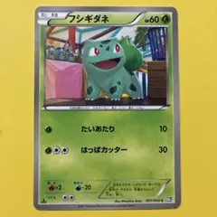 フシギダネ 10周年記念プロモ DPt-Pプロモカード 030/051 - メルカリ