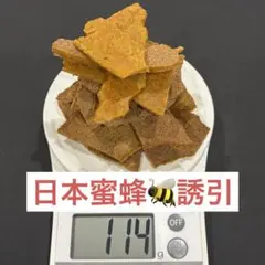 Item thumbnail for item 2230f86a-88f8-48b2-8f17-02b88551952c