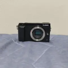 2026年最新】lumix gx1の人気アイテム - メルカリ
