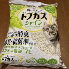 Item thumbnail for item f318e07c-602a-4d5f-a999-52ea88a5c23d