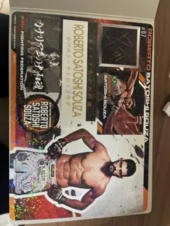 Item thumbnail for item 316a1d27-a53e-47db-bf74-ffd97386cb05