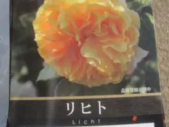 ゆー様 リクエスト 2点 まとめ商品