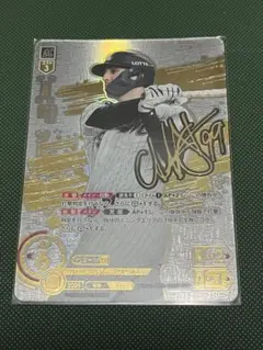 ドリームオーダー スポーツカード