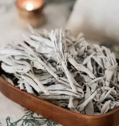 【20g】ホワイトセージ 浄化用 カリフォルニア産 無農薬 天然石浄化 お香のサムネイル