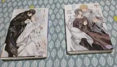 Item thumbnail for item 55200e6e-c84c-4921-8373-8e37b417cf91