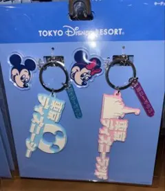 【キーチェーンセット】ディズニーランド ディズニーシー ミッキー ミニー