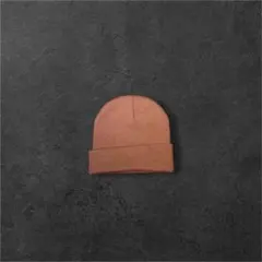 J*Z様 y2k 00s archive fade beanie brown c