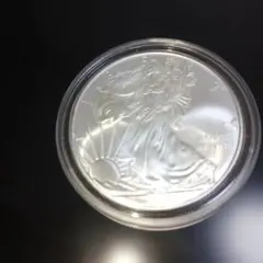 1枚 アメリカ イーグル銀貨2021 Type1 1オンス - メルカリ