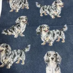 Tamigon s様専用ページ