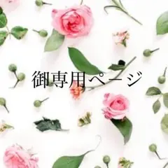 専用ぺージ