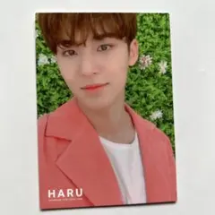 SEVENTEEN トレカ HARU ミンギュ