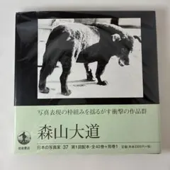 井上誠一 大地の意匠 山田兼道 ゴルフ写真集 超美品 完成品 - メルカリ