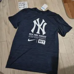 Nike ニューヨークメッツ オーセンティック ドライTシャツ ナイキ