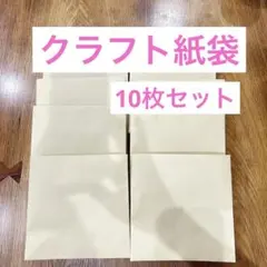 クラフト紙袋 10枚セット 手提げ袋　ラッピング袋　包装　まとめ売り