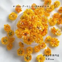 かすみ草　＊みかん＊　60粒＋α フリルブーケシリーズ　ドライフラワー