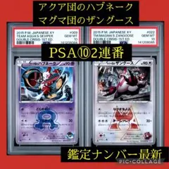 PSA10 2連番 アクア団のハブネーク マグマ団のザングース ポケモンカード 2026年最新】マグマ団のザングースの人気アイテム - メルカリ