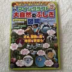 Item thumbnail for item 8dc0b6a7-2890-489b-a913-53a88004a55a