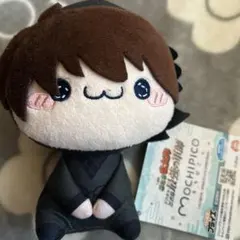 忍たま乱太郎 ドクタケ忍者隊最強の軍師 もちぴこ ぬいぐるみ 土井半助